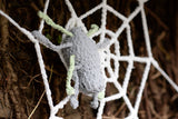 Spider and Web crocheted / reusable Halloween Decoration