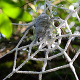 Spider and Web crocheted / reusable Halloween Decoration